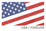 Diagonal Flag Forever