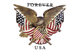 Image of Folk Art Eagle Forever