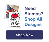 USPS U.S. Flag Forever Stamps, 100 Postage Stamps (FOREVERFLAG5BK)